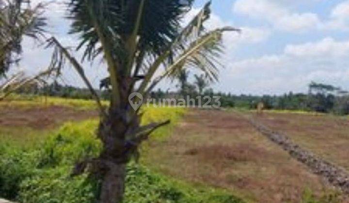 LAND IN THE LUXURY AREA OF CINTA KEDUNGU BEACH, TABANAN - BALI 2