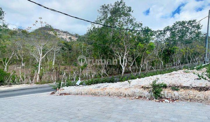 BEAUTIFUL VIEW COMMERCIAL LAND ON MAIN ROAD BINGIN, ULUWATU - BALI 1