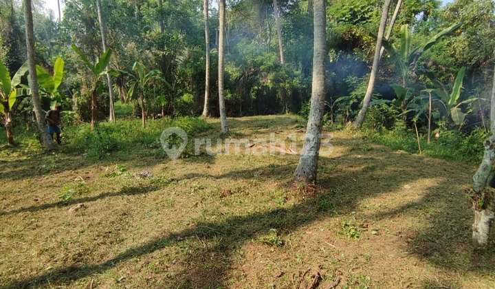 Land with Jungle View in Mas - Ubud, Bali Land with Jungle View in Mas - Ubud, Bali