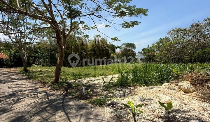 Land in the Commercial Area of Belimbing Sari, Pecatu - Bali