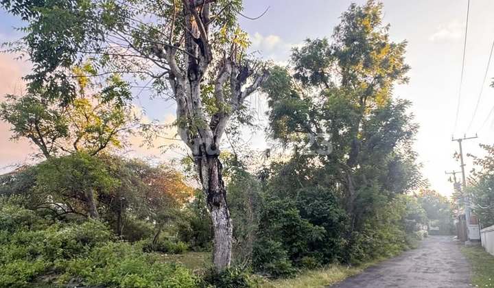 Tanah di Kawasan Villa Gedong Sari, Nusa Dua - Bali Tanah di Kawasan Villa Gedong Sari, Nusa Dua - Bali