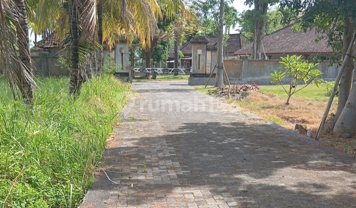 Nice Land With Jungle View In Glogor, Ubud - Bali Nice Land With Jungle View In Glogor, Ubud - Bali