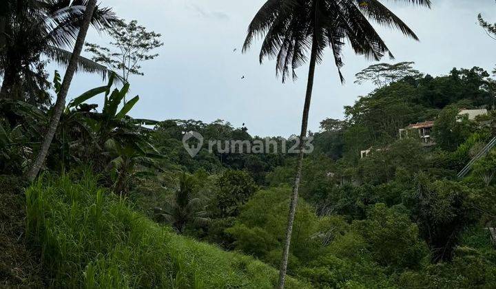 Lahan Dengan View Bagus Di Keliki, Ubud Riverside - Bali 2