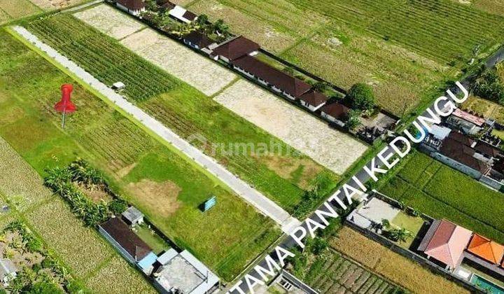 RARE LAND WITH MAIN ROAD ACCESS PKEDUNGU, TABANAN- BALI 2