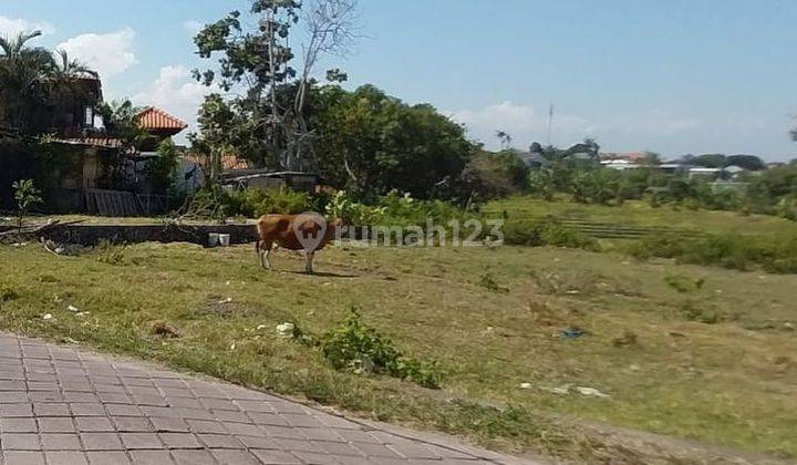 LAHAN UKURAN KECIL DI PANTAI PERERENAN, CANGGU - BALI 1