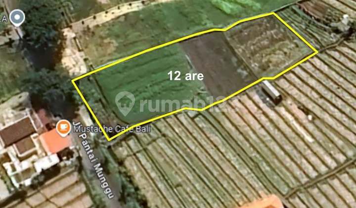 Tanah Premium Di Jalan Utama Pantai Seseh, Munggu - Bali Tanah Premium Di Jalan Utama Pantai Seseh, Munggu - Bali