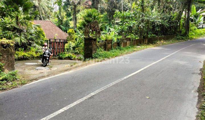 LAND WITH A BEAUTIFUL VIEW IN PEJENG AJI - UBUD, GIANYAR - BALI 1