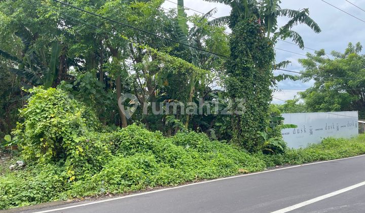 Lahan Jalan Utama Ry. Tumbak Bayuh - Tiying Tutul, Canggu - Bali