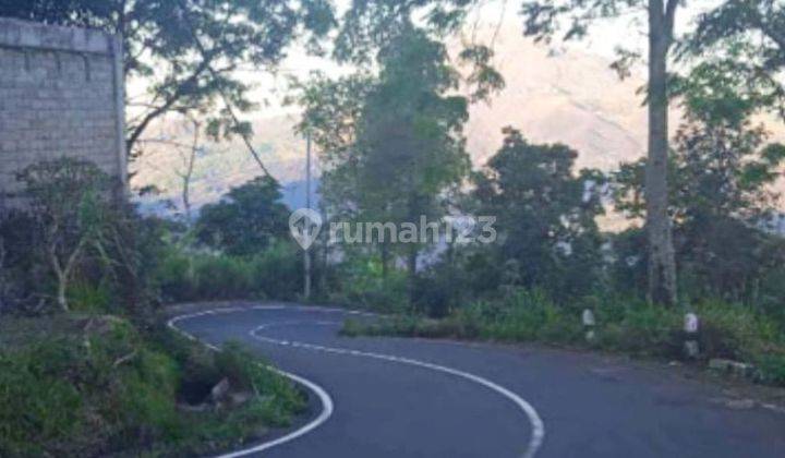 LAHAN DENGAN VIEW GUNUNG DI PENELOKAN, KINTAMANI - BALI 1