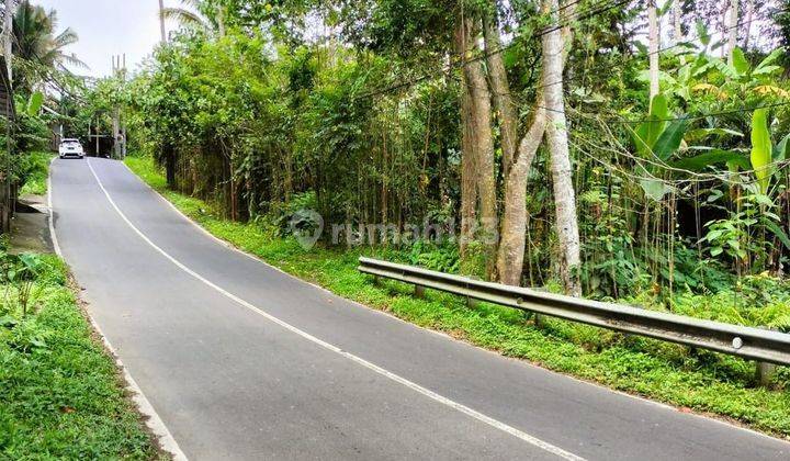 LAND WITH A BEAUTIFUL VIEW IN PEJENG AJI - UBUD, GIANYAR - BALI 2