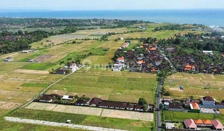 RARE LAND WITH MAIN ROAD ACCESS PKEDUNGU, TABANAN- BALI 1