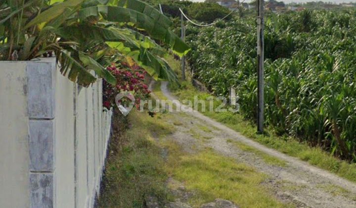 Rare Land in the Echo Beach & Batu Bolong Area, Canggu - Bali