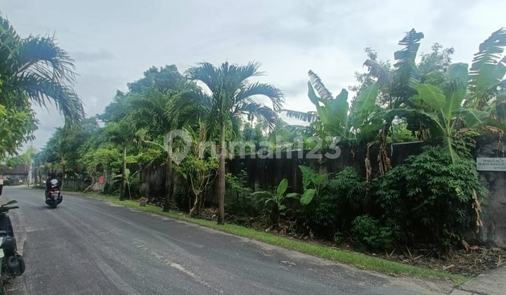 Main Road Land in Villa Raya Umah Buluh Area, Canggu - Bali Main Road Land in Villa Raya Umah Buluh Area, Canggu - Bali