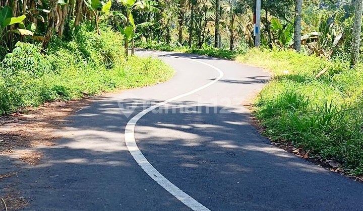 Lahan Buc View Gunung, Jungle & Sungai Di Payangan, Ubud - Bali Lahan Buc View Gunung, Jungle & Sungai Di Payangan, Ubud - Bali
