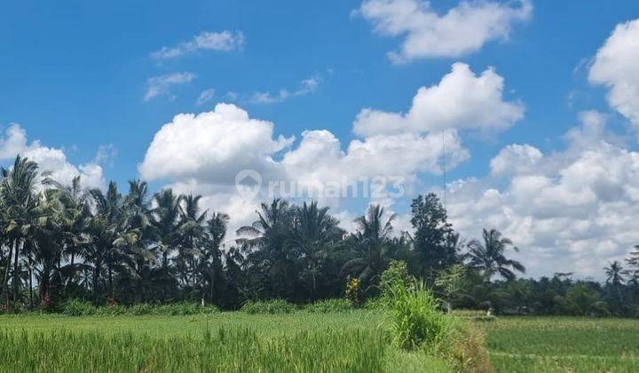 Lahan View Sawah & Los Sungai Di Kawasan Villa Kelusa, Ubud- Bali 2