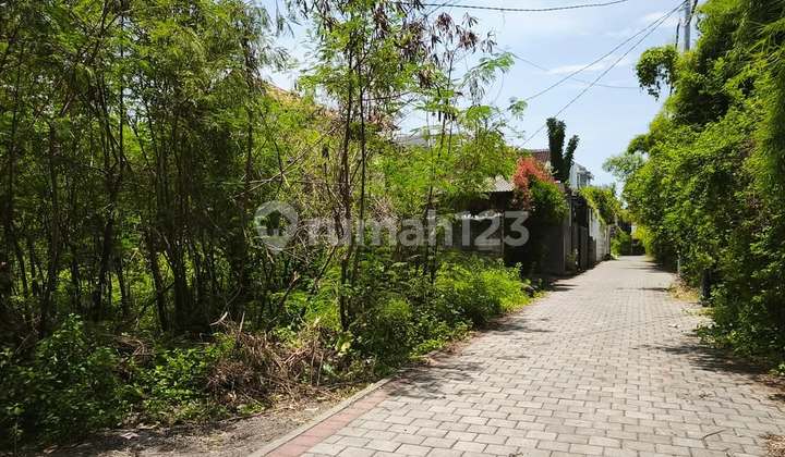Tanah Bagus Di Lingkungan Villa Bumbak, Umalas - Bali