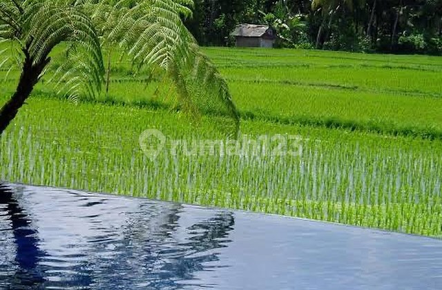 Villa Yg Estetik Dengan View Sawah Di P. Nyanyi, Tabanan - Bali