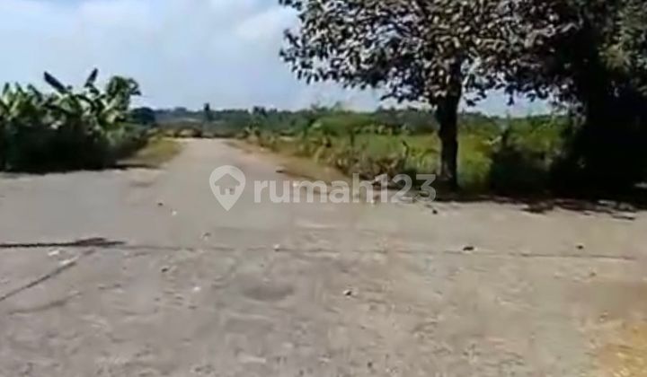 Tanah Di Kawasan Villa & Komersil Di Area P.kedungu, Tabanan Bali Tanah Di Kawasan Villa & Komersil Di Area P.kedungu, Tabanan Bali