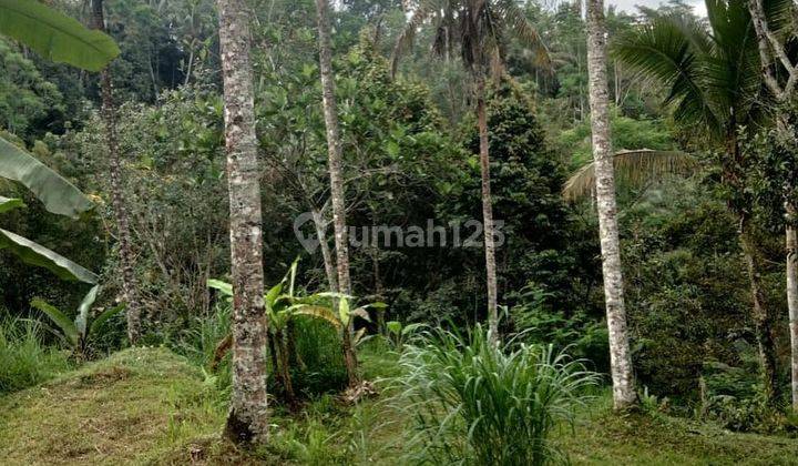 LAHAN SEBELAH SAMSARA RESORT DI UBUD - BALI 1