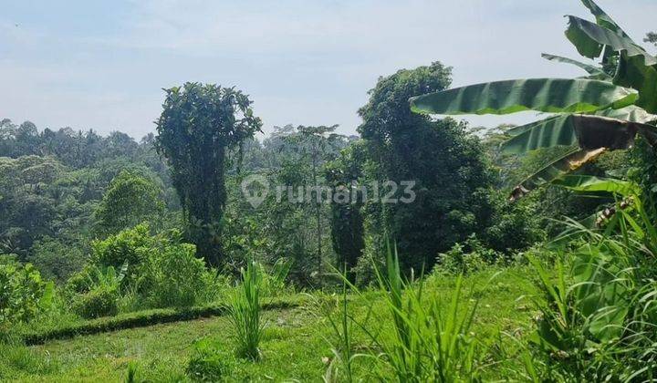 Land With Jungle, Valley, River & Rice Field View In Ubud, Bali 2