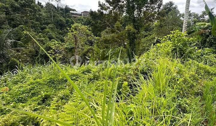 Lahan Murah di Kawasan Resto & Villa Tegallalang, Ubud - Bali Lahan Murah di Kawasan Resto & Villa Tegallalang, Ubud - Bali