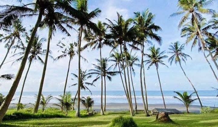 LAHAN BEACH FRONT DI PANTAI PASUT, TABANAN - BALI 1