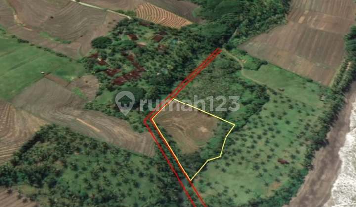 Land Below Market Price Near Balian Beach, Tabanan Bali Land Below Market Price Near Balian Beach, Tabanan Bali