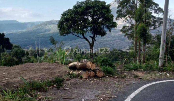 LAHAN DENGAN VIEW GUNUNG DI PENELOKAN, KINTAMANI - BALI 2