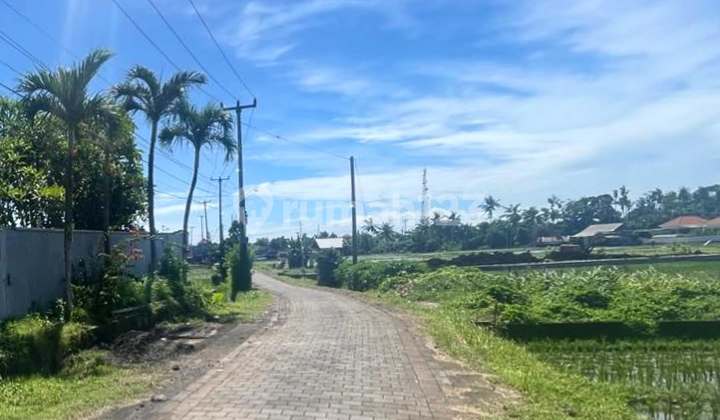 Lahan Di Bawah Harga Pasar Di Kawasan Kedungu, Tabanan - Bali