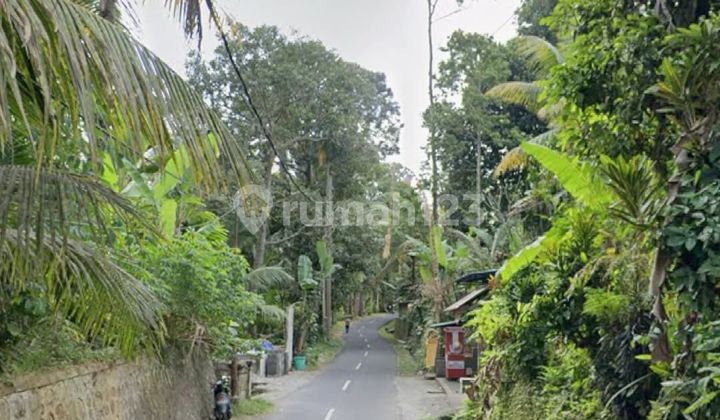 LAHAN BUC DG UNBLOCKED JUNGLE VIEW DI UBUD, BALI