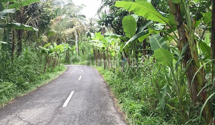 Lahan Dg Unblocked Jungle View & Riverside Di Tegallalang, Bali Lahan Dg Unblocked Jungle View & Riverside Di Tegallalang, Bali