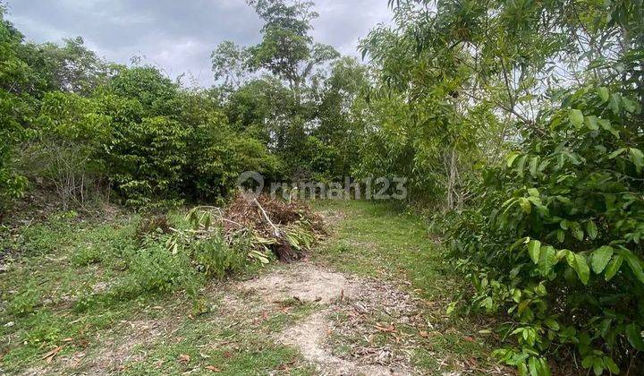 UNBLOCKED OCEAN VIEW LAND IN UNGASAN, BALI 2