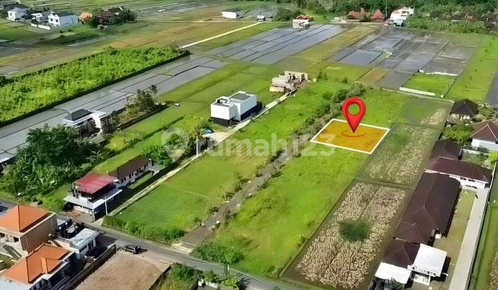 Tanah di Kawasan Pantai Kedungu & Tanah Lot, Tabanan - Bali Tanah di Kawasan Pantai Kedungu & Tanah Lot, Tabanan - Bali