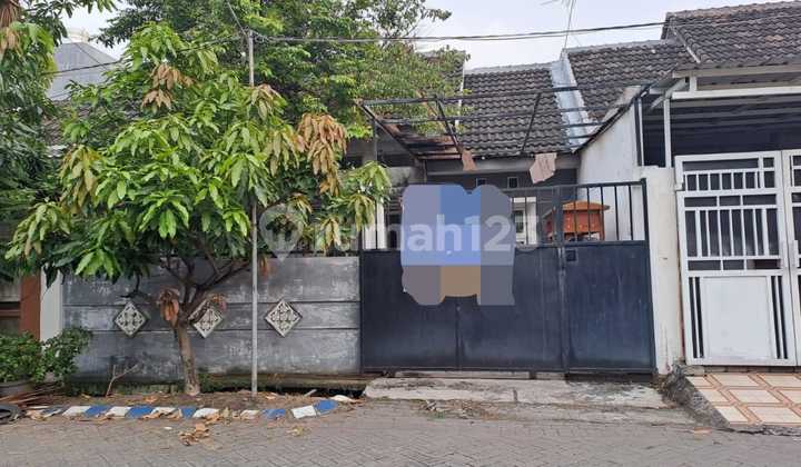 Rumah Di Western Village Benowo, Surabaya Barat Rumah Di Western Village Benowo, Surabaya Barat