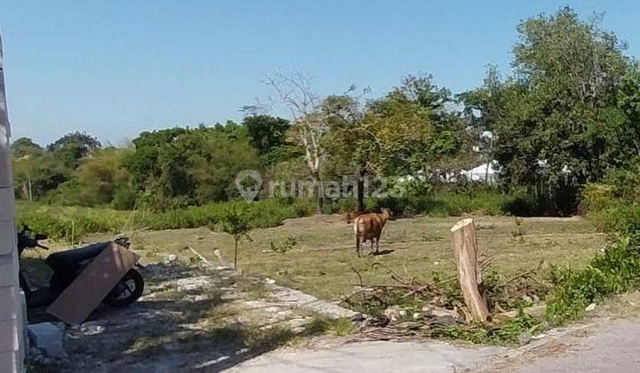 LAHAN UKURAN KECIL DI PANTAI PERERENAN, CANGGU - BALI 2