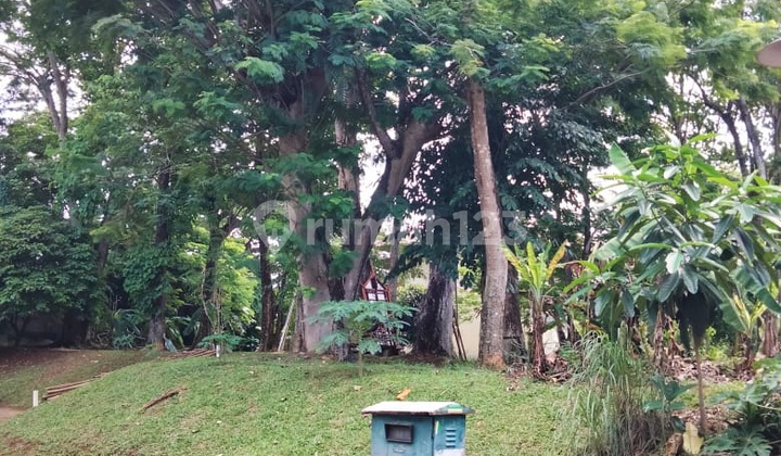 Cheap Sale of Ready-to-Build Plots in Tirta Golf BSD Cheap Sale of Ready-to-Build Plots in Tirta Golf BSD