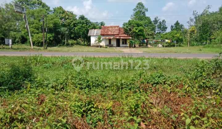 Tanah Datar di Lokasi Terbaik Kawasan Banyuasin Tanah Datar di Lokasi Terbaik Kawasan Banyuasin