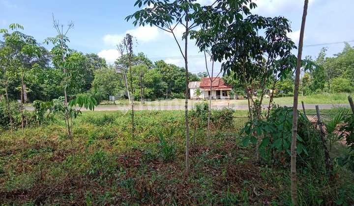 Tanah Datar di Lokasi Terbaik Kawasan Banyuasin