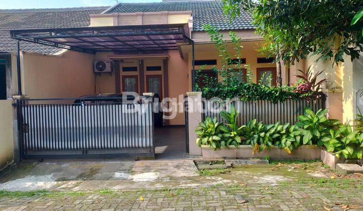 Rumah 1 Lantai Siap Huni Griya Loka Bsd City 1