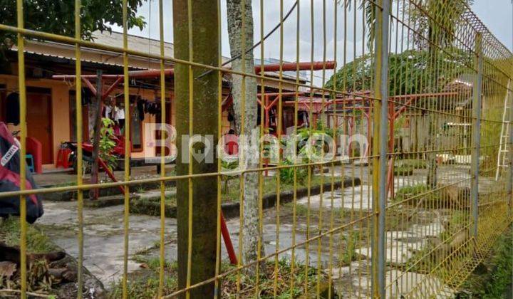 Rumah kontrakan dan kos kosan 1 lantai dijual murah di jalan kehewanan  2