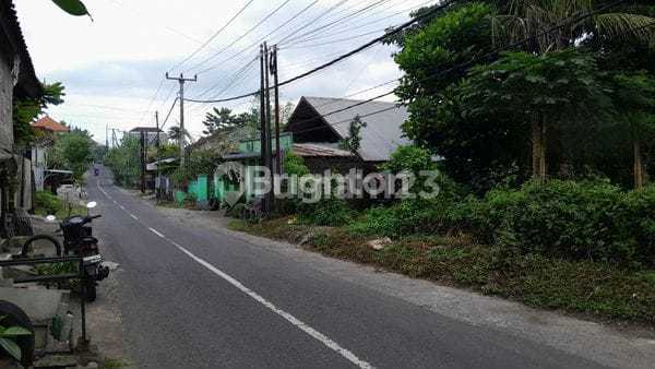 Tanah Premium 6,4 Are View Asri di Ketinggian Tabanan Bali