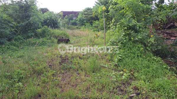 Over Land Contract - 12 Are | Location Kediri-Tabanan-Bali