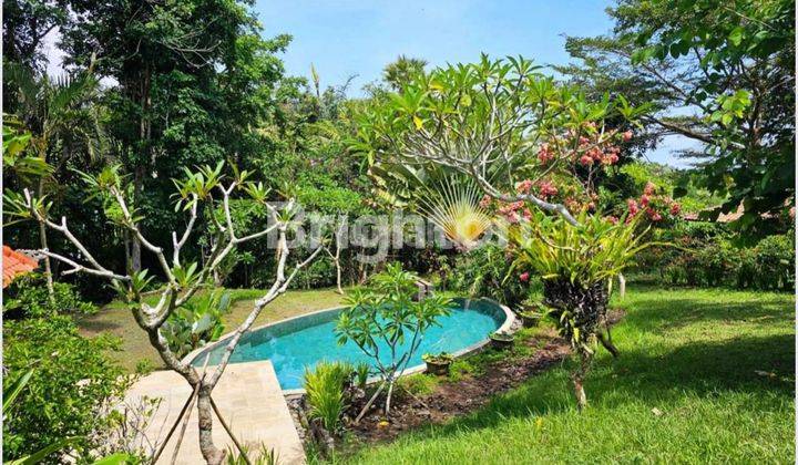 LUXURY VILLA WITH LARGE LAND IN SUKAWATI GIANYAR 1