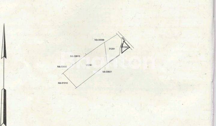 LAND WITH UNBLOCK VIEW AT BULELENG 1