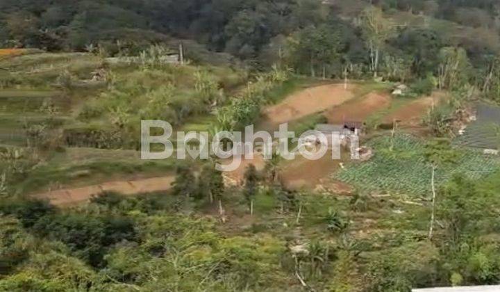 Segera Di Jual  Tanah Bonus Bangunan Cocok Untuk Cafe Dengan View Pegunungan Bedugul 1