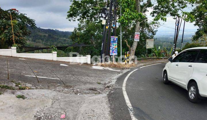 Segera Di Jual  Tanah Bonus Bangunan Cocok Untuk Cafe Dengan View Pegunungan Bedugul 2