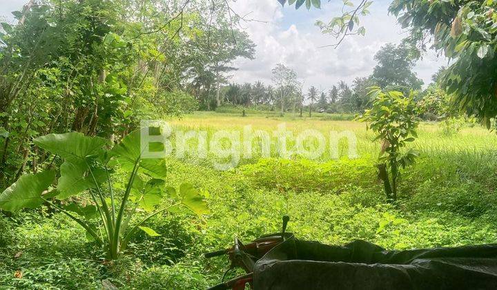 TANAH JANGKA PANJANG DI LODTUNDUH UBUD 1