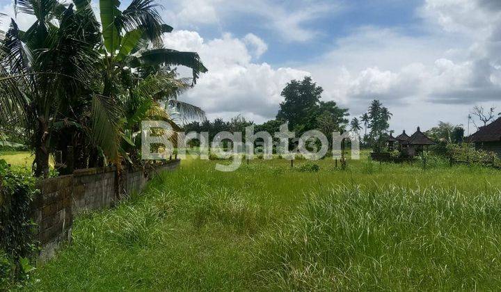 TANAH JANGKA PANJANG DI LODTUNDUH UBUD 2