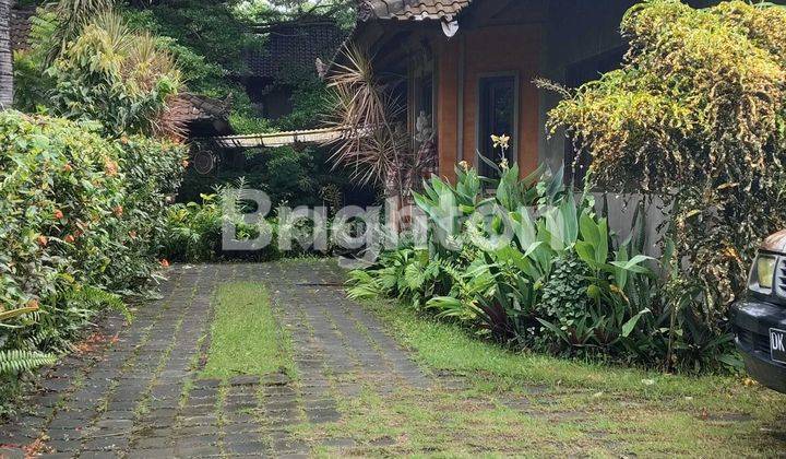 TANAH BONUS BANGUNAN VILLA DEKAT  PANTAI SIYUT GIANYAR 1