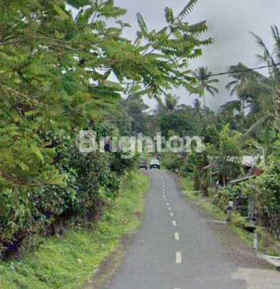 Tanah 1,2Ha Tabanan Ketinggian 380Meter Tanah 1,2Ha Tabanan Ketinggian 380Meter